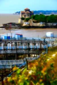 photo Visite de l'estuaire de la Gironde