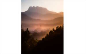 photo Visite commentée 