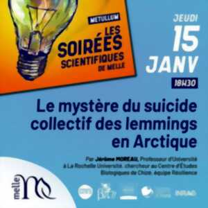 photo Conférence : Le mystère du suicide collectif des lemmings en Arctique