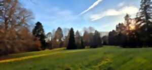 photo Les aventuriers en herbe