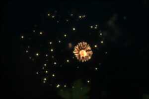 photo Cérémonie de la Fête Nationale, bal populaire et feu d’artifice