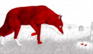 photo Exposition “Énigme en forêt” de l’auteur illustrateur Mathias Friman