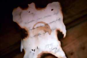 photo Atelier de Haïkus