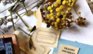 photo Semer des graines poétiques