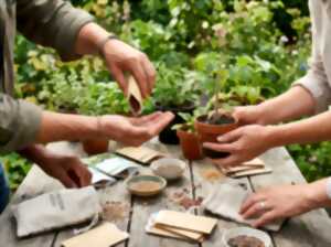 photo Troc graines & plantes