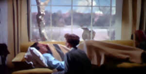 photo Ciné Club du Ried