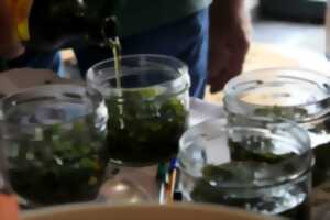 photo Atelier : Fabrication d'un baume végétal