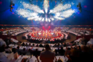 photo Dîner signature au cirque Arlette Gruss