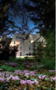 photo Saint Valentin en duo au château !