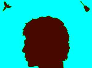 photo Concert de Laurent Voulzy