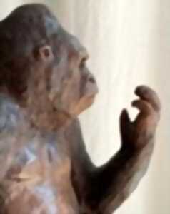 photo Modelage animalier