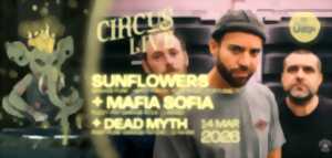 photo Circus Live : Sunflowers + MAFIA SOFA + Dead Myth