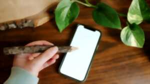 photo Adopter les écogestes numériques x Orange & Le Pixel