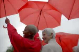 photo Cinédébat : les esprits libres