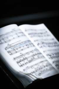 photo L’Île de Tulipatan