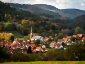 photo Chantier nature participatif
