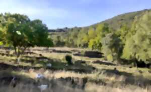 photo RÉUNION PUBLIQUE AUTOUR DU PROJET CAMPMAS ET MASIÈRES