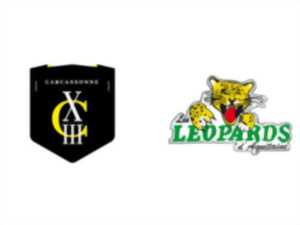 photo RUGBY À XIII - CARCASSONNE XIII / VILLENEUVE XIII RL