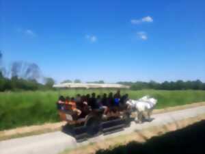 photo Fête au coeur des prairies du Fouzon à Couffy