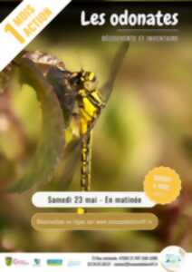 photo Mai Un Mois Une Action avec la Maison de la Loire