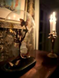 photo Découverte nocturne du château de Carneville