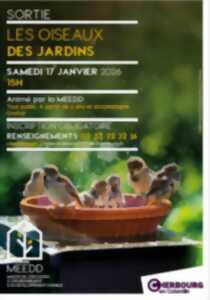 photo Sortie : les oiseaux les jardins
