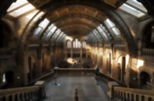 photo Nuit des musées | Un musée dans le noir