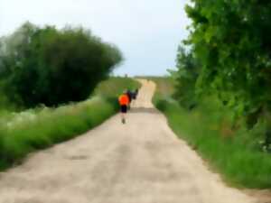 photo Les Foulées du Vignoble Martillacais