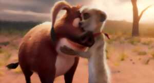 photo Ciné Ateliers – « Tafiti »