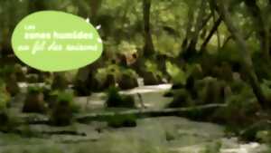 photo Découverte d'une forêt humide