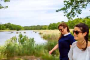 photo Balade commentée à Saint Brice