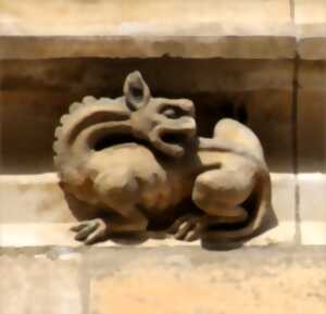 photo Sur la Piste des Animaux dans la Ville