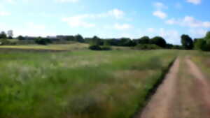 photo Sortie crépusculaire aux Sablons de Corquoy