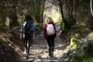 photo L'hivernal du lac : randonnée