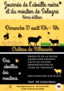 photo Villesavin grandeur nature. Abeilles, brebis et nature