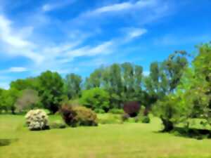 photo Balade commentée dans le parc botanique du Château de Neuvic - Châteaux en Fête