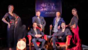 photo Spectacle Flamenco Senda del cielo par Arena Negra