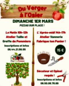 photo Atelier découverte généalogie