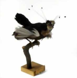 photo Nocturne étudiante au Musée Zoologique