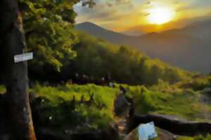 photo Nuit des musées : visite guidée du champ de bataille à la lampe de poche