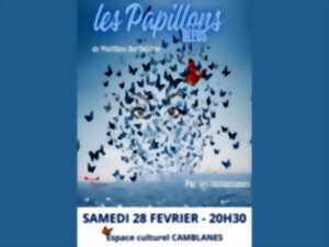 photo Les Papillons