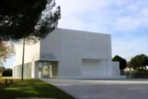 photo Spectacle inaugural du Pôle Culturel du Lavoir