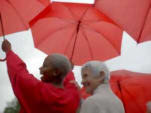 photo Cinédébat : les esprits libres