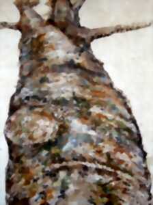 photo Exposition Rencontre entre Laurent NOËL et Alex PASQUALINI