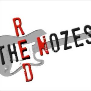 photo Concert de Saint Patrick