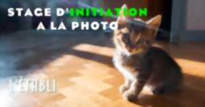 photo Stage : Initiation à la Photographie
