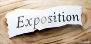 photo EXPOSITION JEANNE TRAON - DOMAINE CLAIRE MAYOL