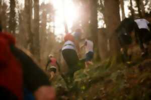 photo Trail du Vieil Armand 2026