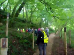 photo Visite du site archéologique des grottes du Pape - Randonnée