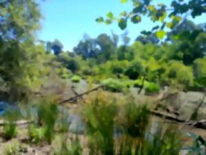 photo Zones humides, un patrimoine naturel à préserver